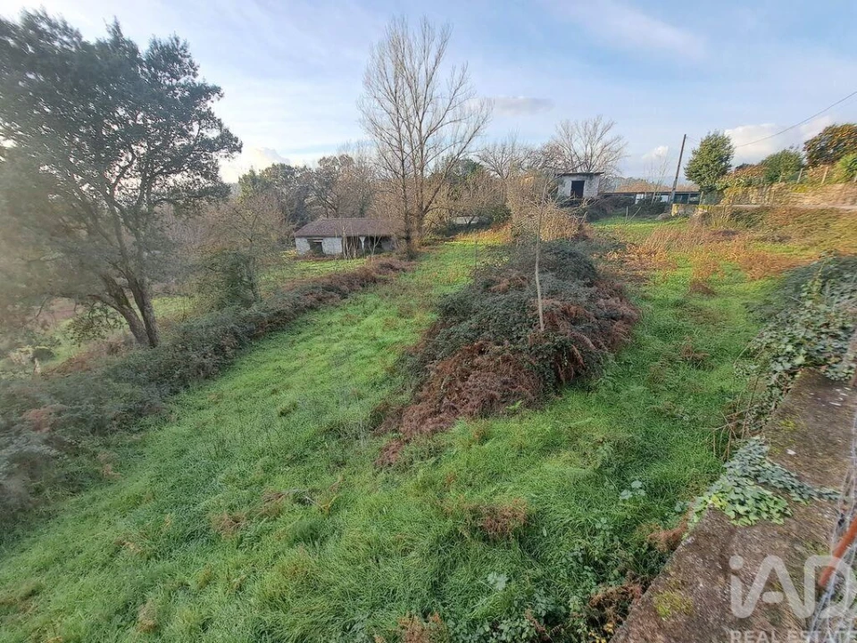 Terreno para Venda em Adaufe Foto 5