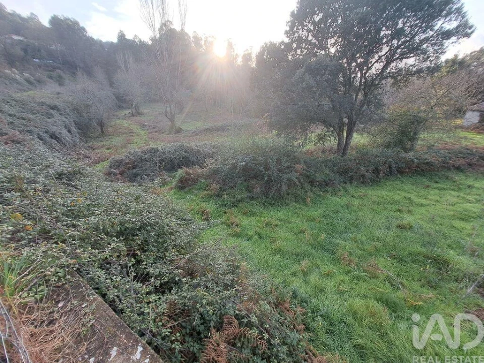 Terreno para Venda em Adaufe Foto 7