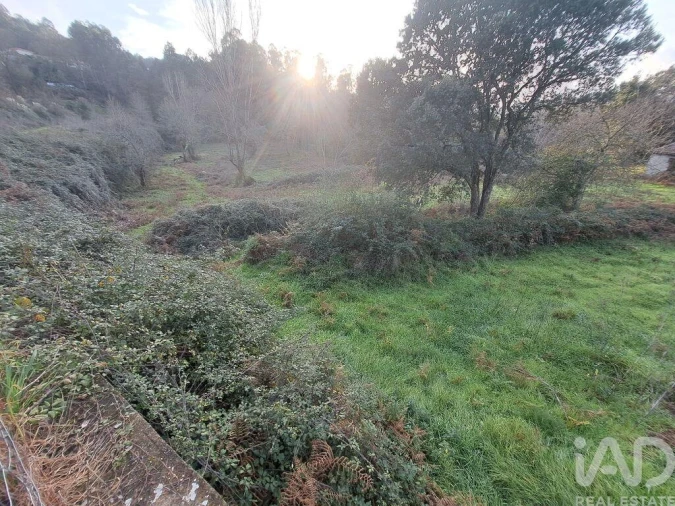 Terreno para Venda em Adaufe Foto 7