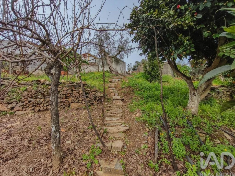 Quinta T4 para Venda em Sé e São Lourenço Foto 26