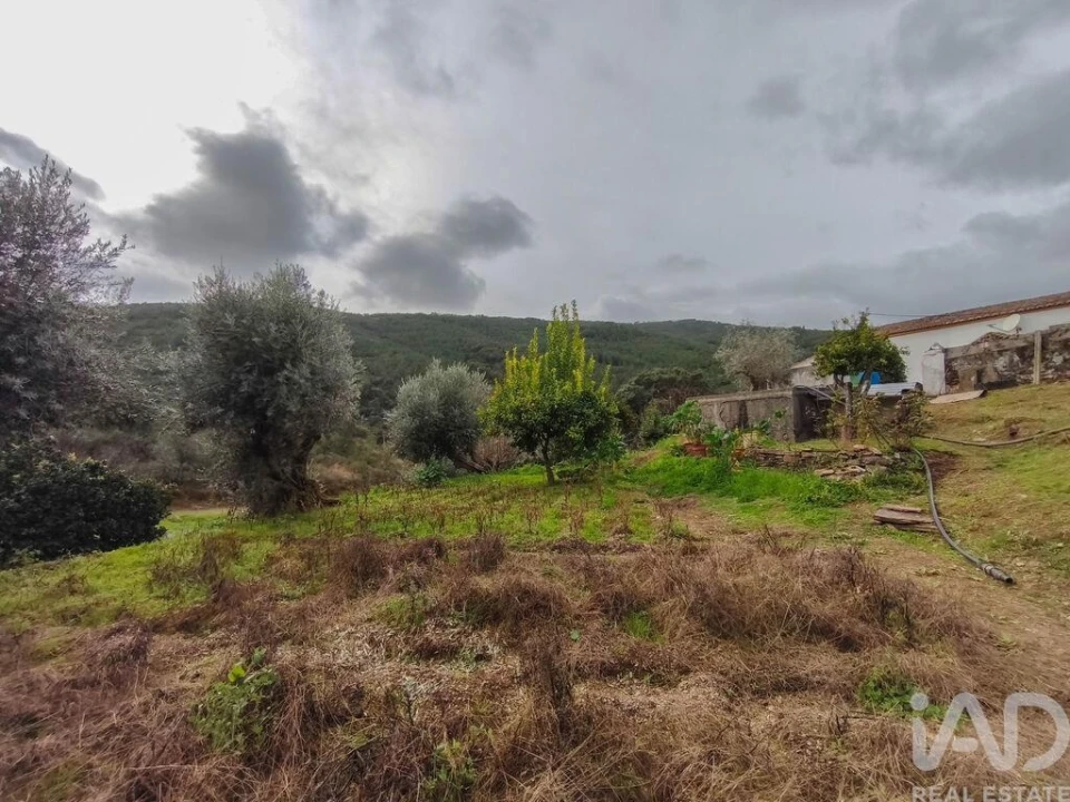 Quinta T4 para Venda em Sé e São Lourenço Foto 35