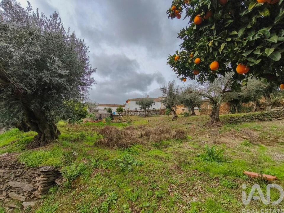 Quinta T4 para Venda em Sé e São Lourenço Foto 29