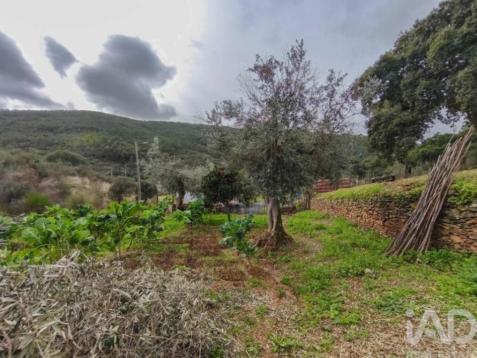 Quinta T4 para Venda em Sé e São Lourenço Foto 27