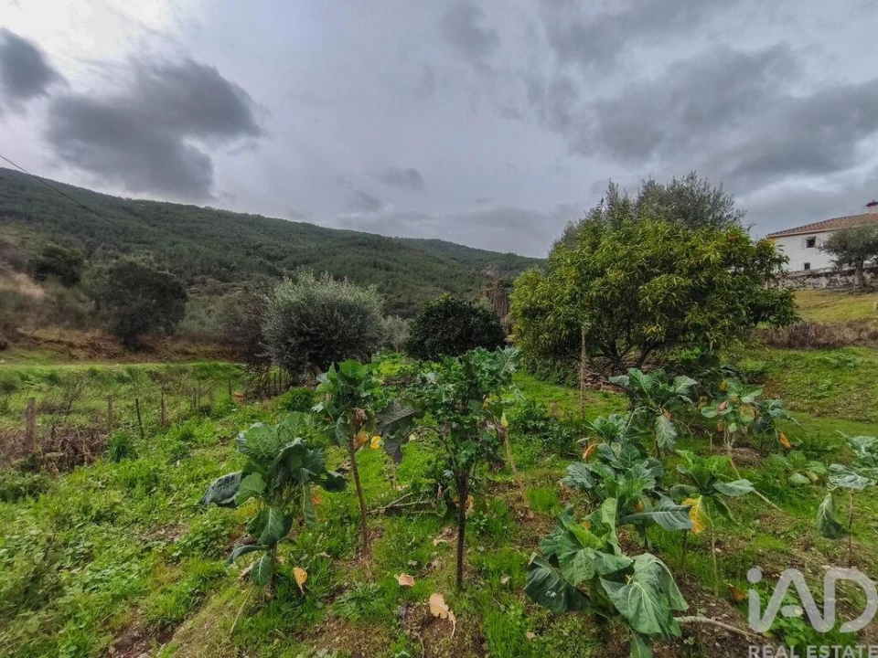 Quinta T4 para Venda em Sé e São Lourenço Foto 30