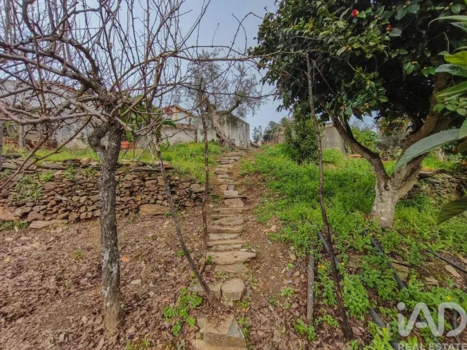 Quinta T4 para Venda em Sé e São Lourenço Foto 26