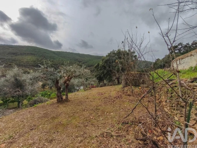 Quinta T4 para Venda em Sé e São Lourenço Foto 25