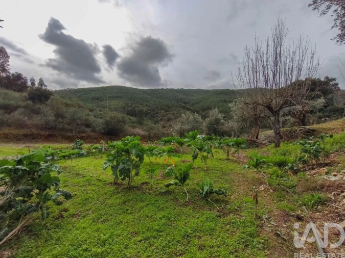 Quinta T4 para Venda em Sé e São Lourenço Foto 28
