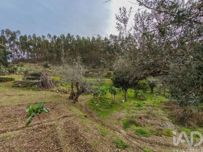 Quinta T4 para Venda em Sé e São Lourenço Foto 34