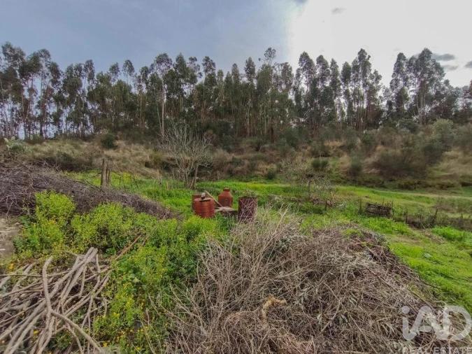 Quinta T4 para Venda em Sé e São Lourenço Foto 31