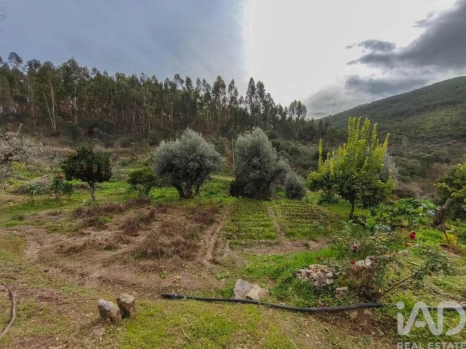 Quinta T4 para Venda em Sé e São Lourenço Foto 37