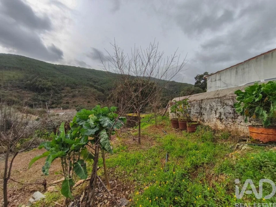 Quinta T4 para Venda em Sé e São Lourenço Foto 23