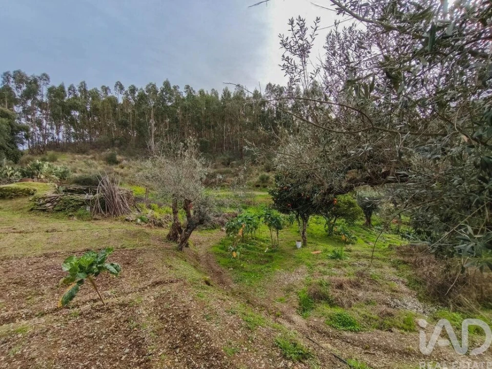 Quinta T4 para Venda em Sé e São Lourenço Foto 34