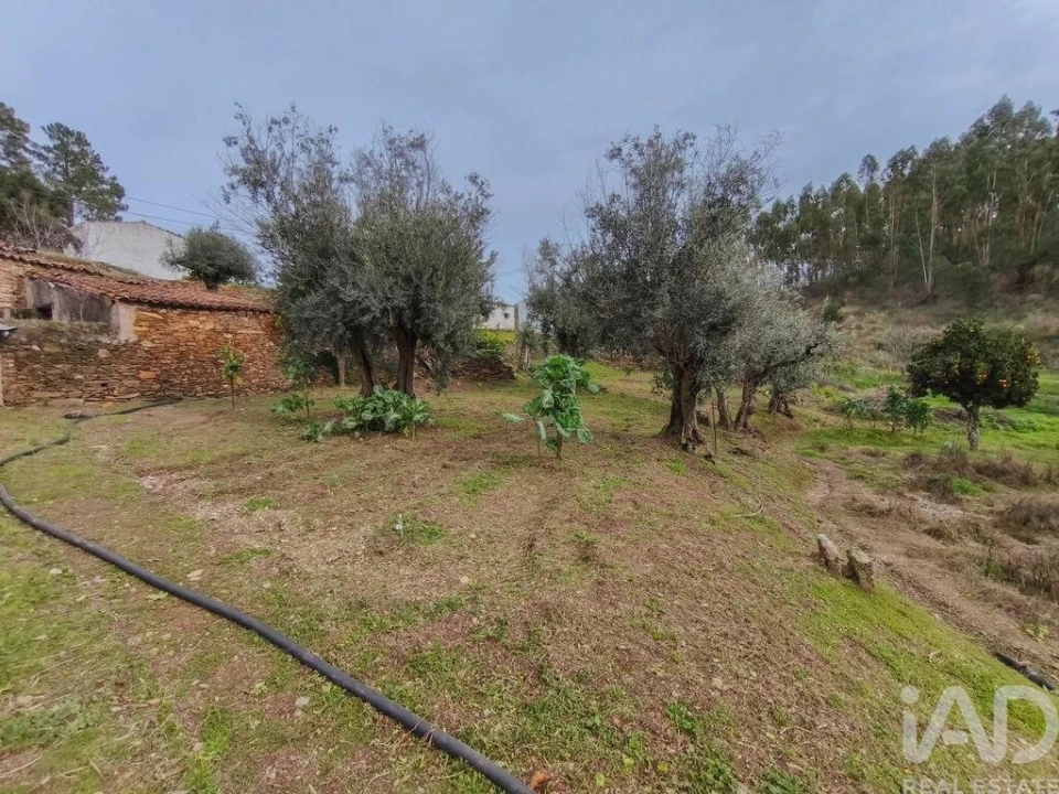 Quinta T4 para Venda em Sé e São Lourenço Foto 38