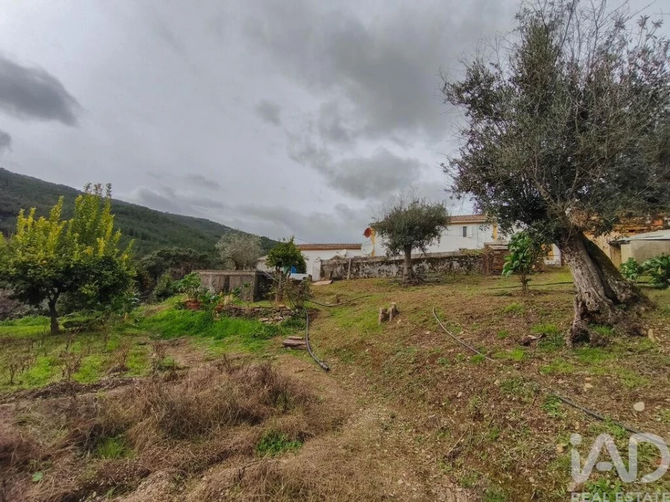 Quinta T4 para Venda em Sé e São Lourenço Foto 33