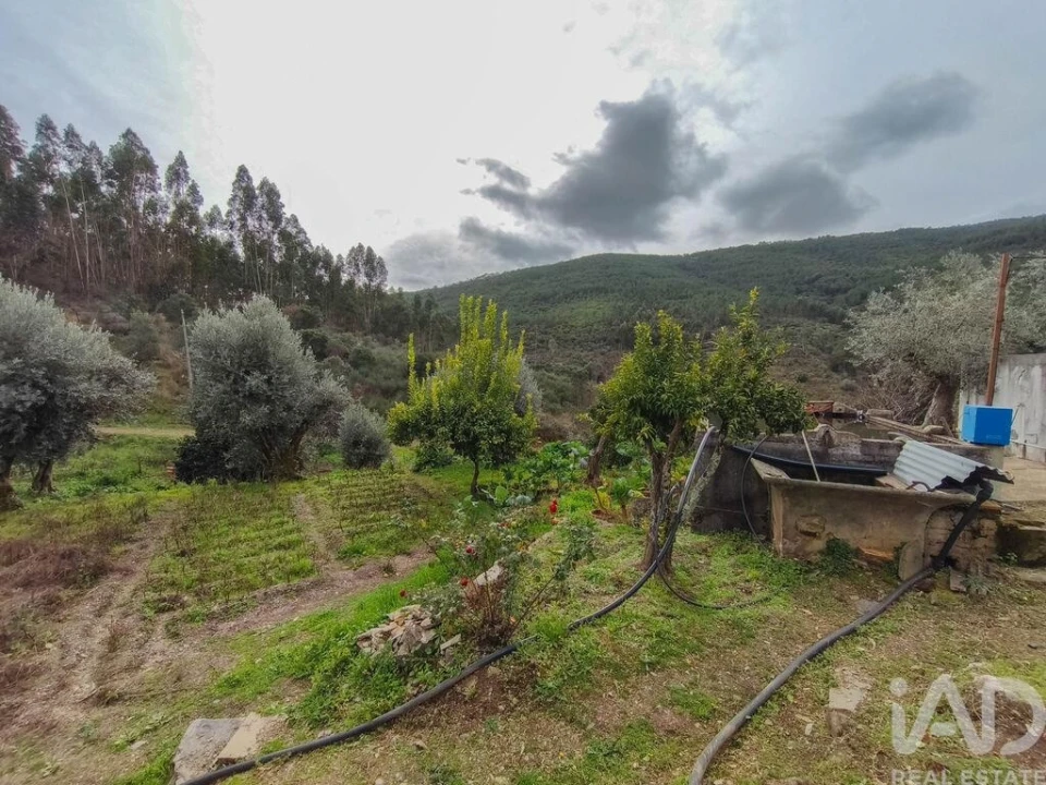 Quinta T4 para Venda em Sé e São Lourenço Foto 36