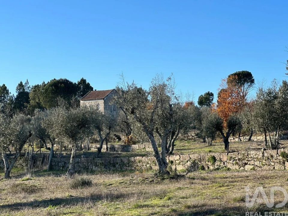 Quinta T3 para Venda em Arcozelo Foto 22
