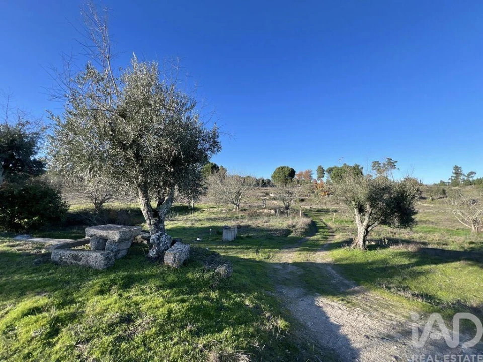 Quinta T3 para Venda em Arcozelo Foto 5