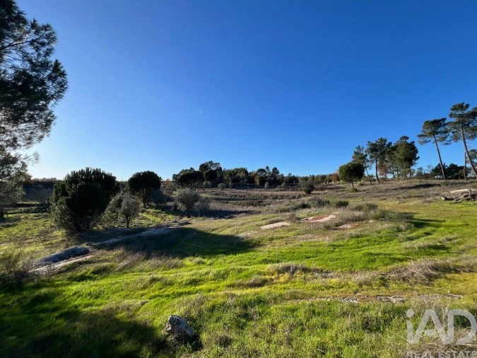 Quinta T3 para Venda em Arcozelo Foto 18