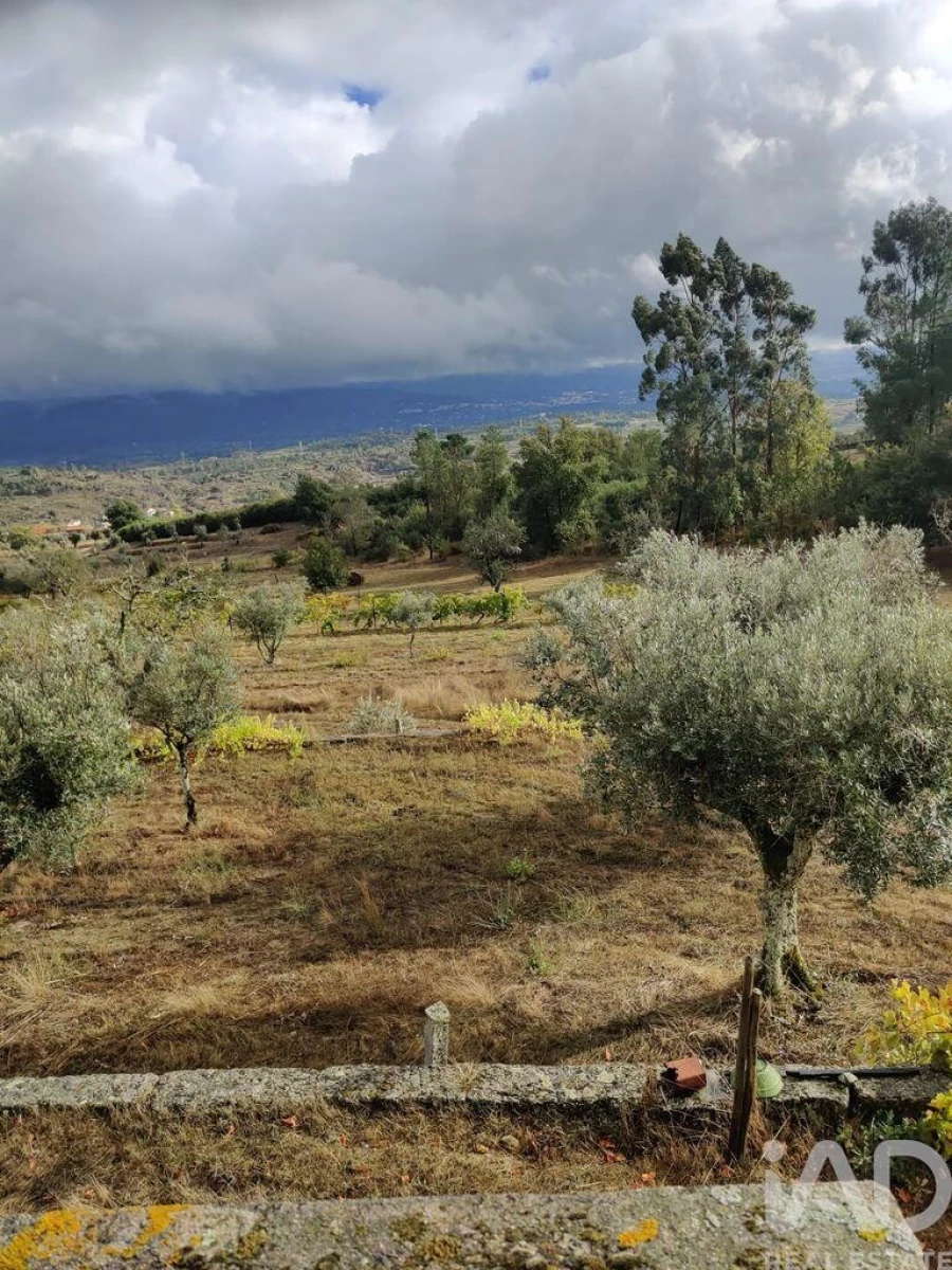 Quinta T3 para Venda em Arcozelo Foto 10