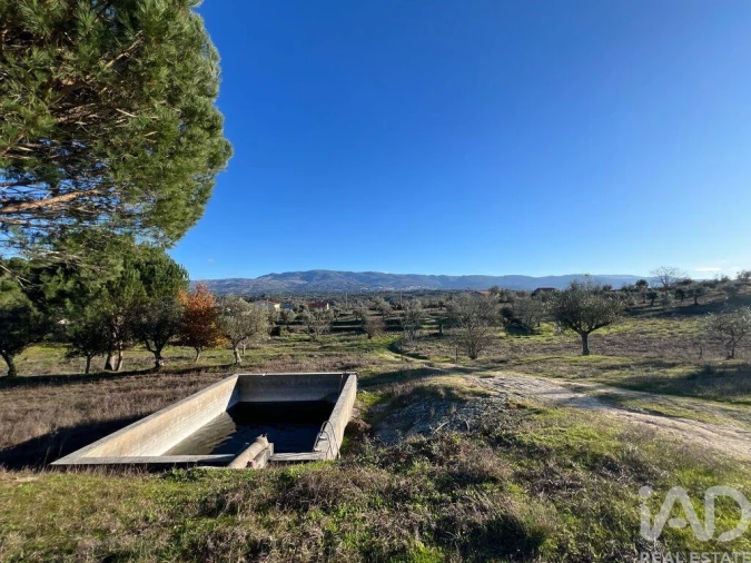 Quinta T3 para Venda em Arcozelo Foto 19