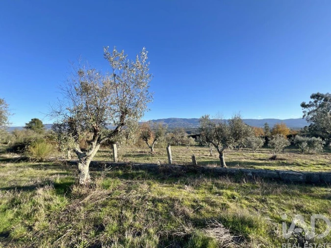 Quinta T3 para Venda em Arcozelo Foto 25