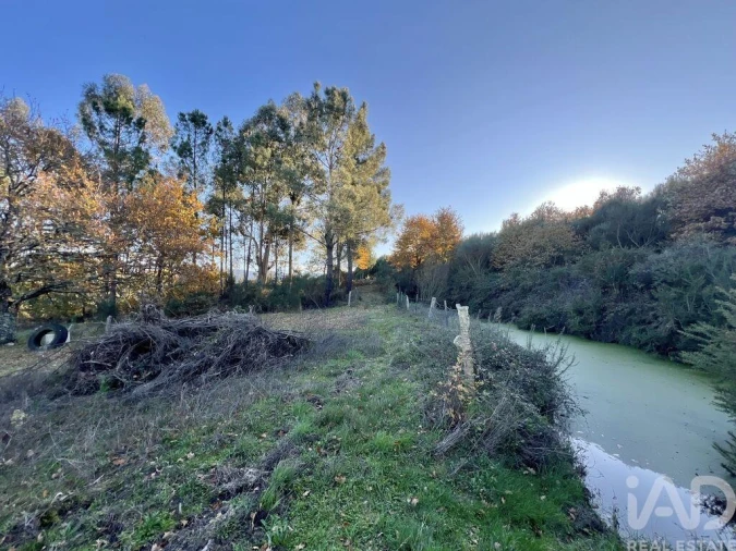 Quinta T3 para Venda em Arcozelo Foto 6