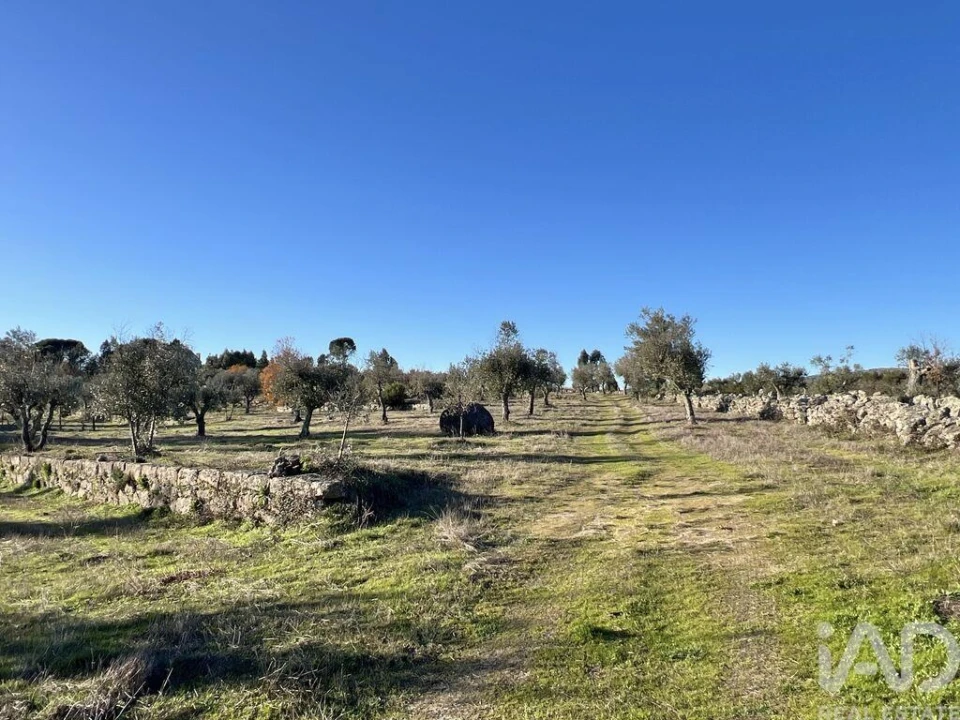 Quinta T3 para Venda em Arcozelo Foto 23