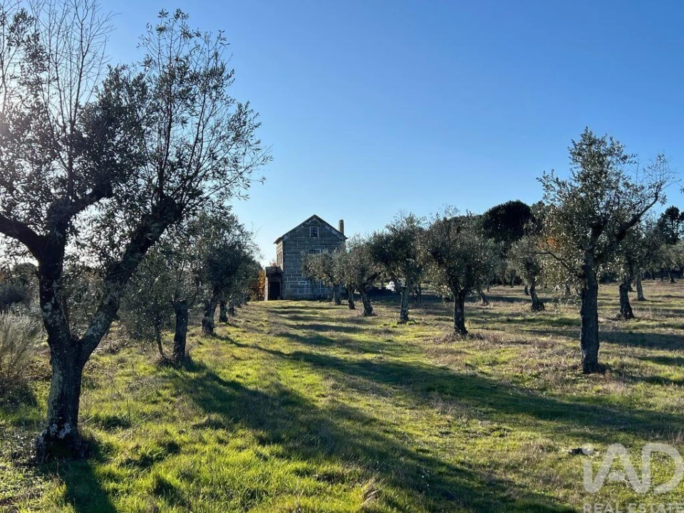 Quinta T3 para Venda em Arcozelo Foto 15