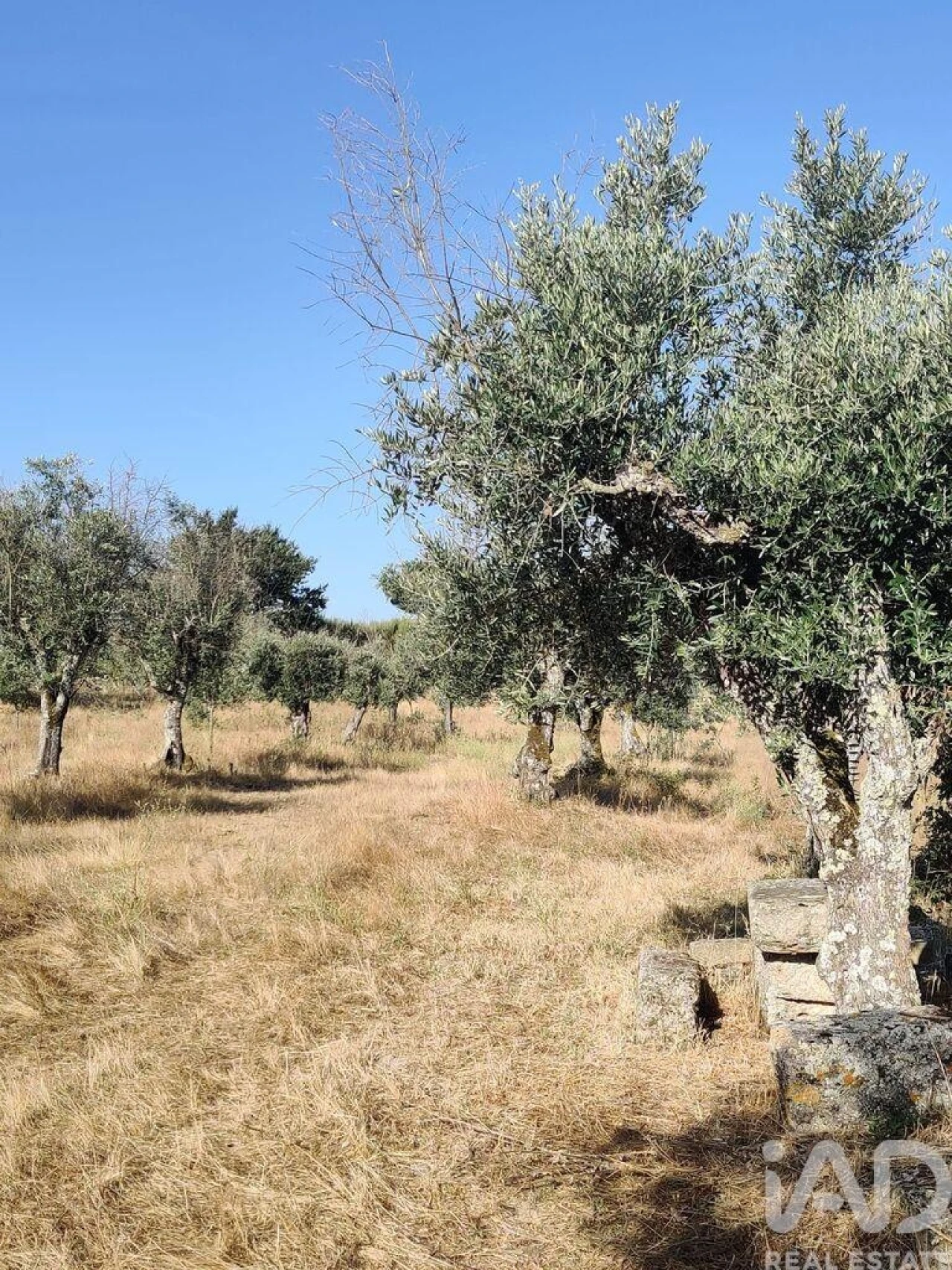 Quinta T3 para Venda em Arcozelo Foto 11