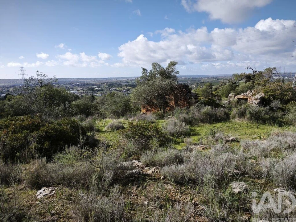 Terreno para Venda em Algoz e Tunes Foto 4