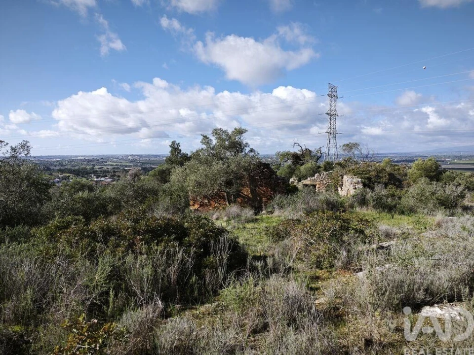 Terreno para Venda em Algoz e Tunes Foto 3