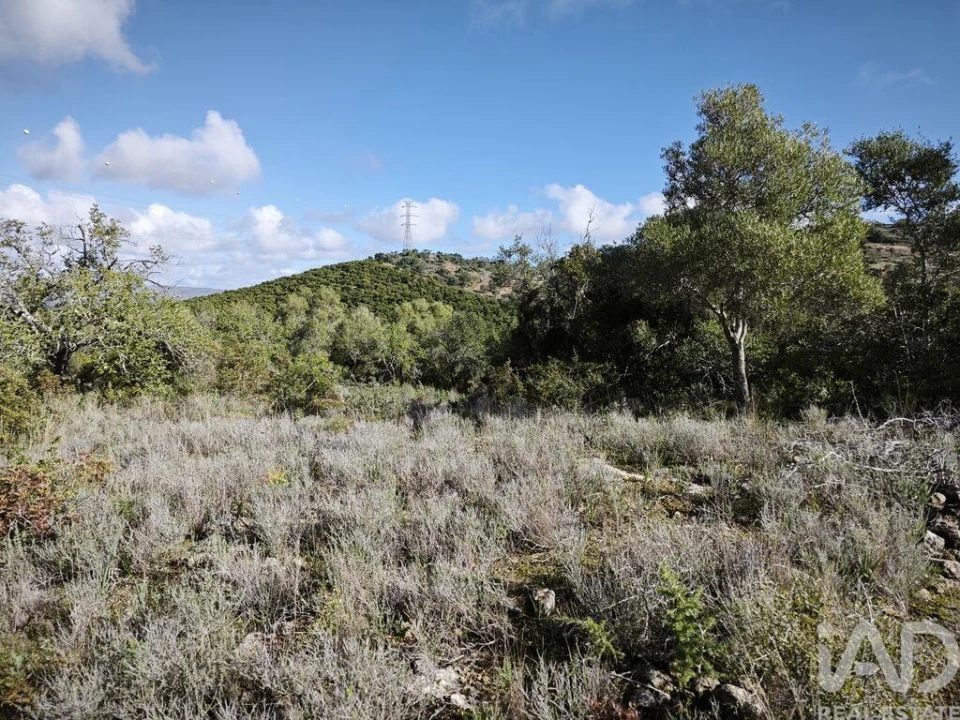 Terreno para Venda em Algoz e Tunes Foto 5