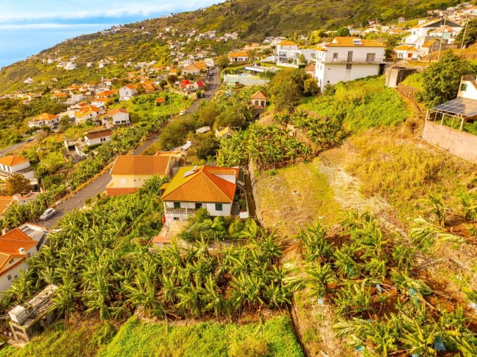 Terreno para Venda em Arco da Calheta Foto 17