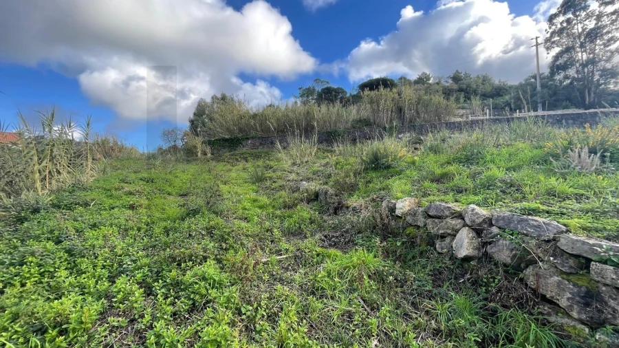 Terreno para Venda em Azueira e Sobral da Abelheira Foto 6