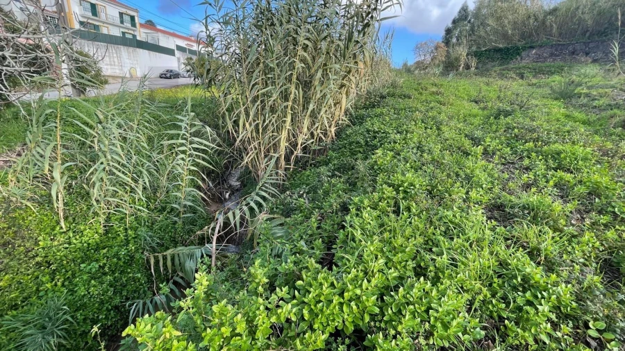 Terreno para Venda em Azueira e Sobral da Abelheira Foto 3