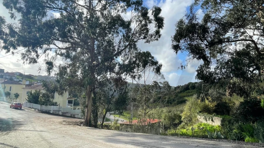 Terreno para Venda em Azueira e Sobral da Abelheira Foto 8