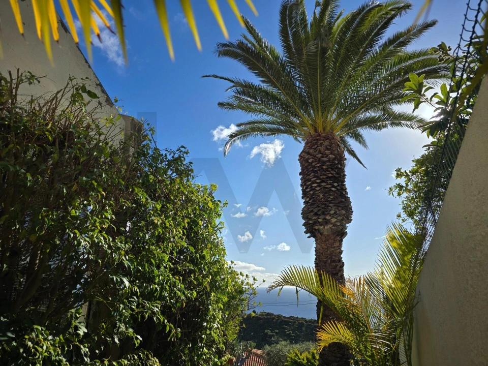 Moradia T3 para Venda em Caniço Foto 11