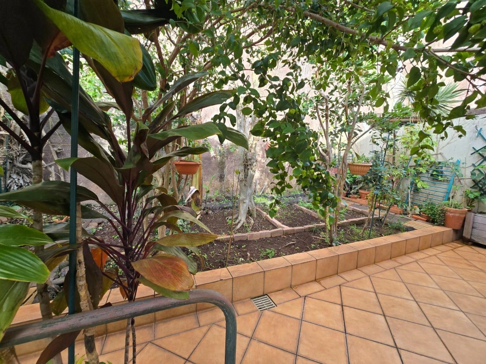 Moradia T3 para Venda em Caniço Foto 41