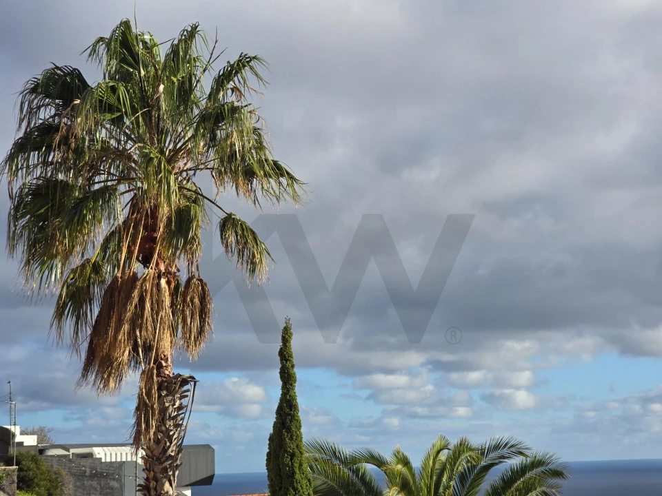 Moradia T3 para Venda em Caniço Foto 61