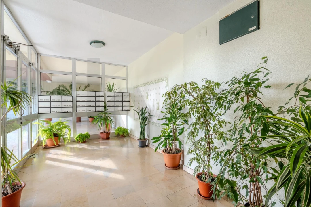Apartamento T2 para Arrendamento em Belém Foto 40