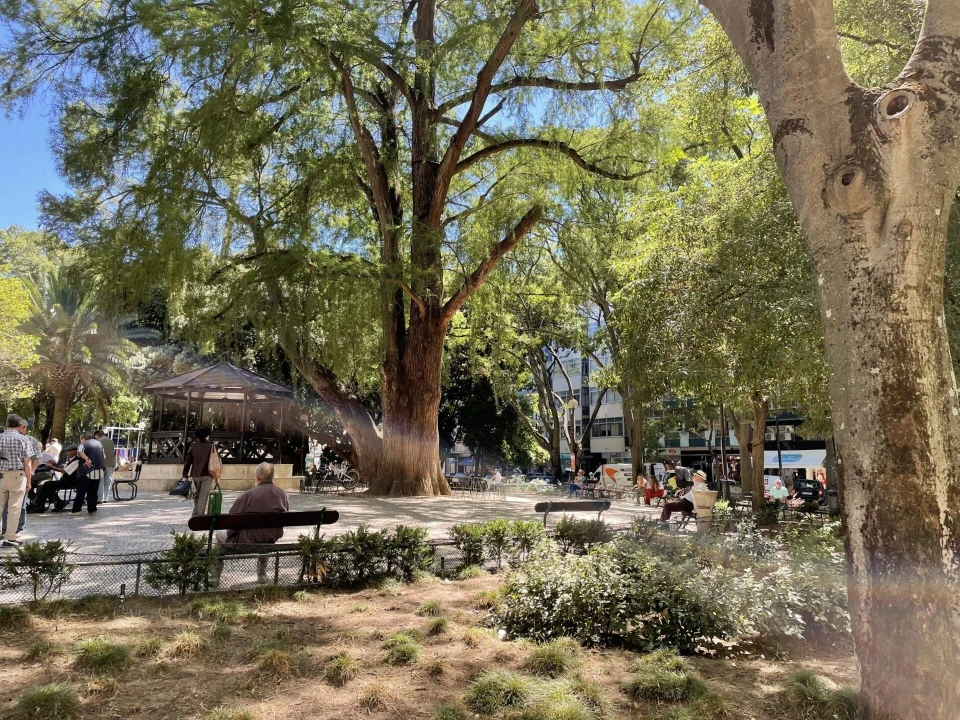 Loja para Venda em Campo de Ourique Foto 3