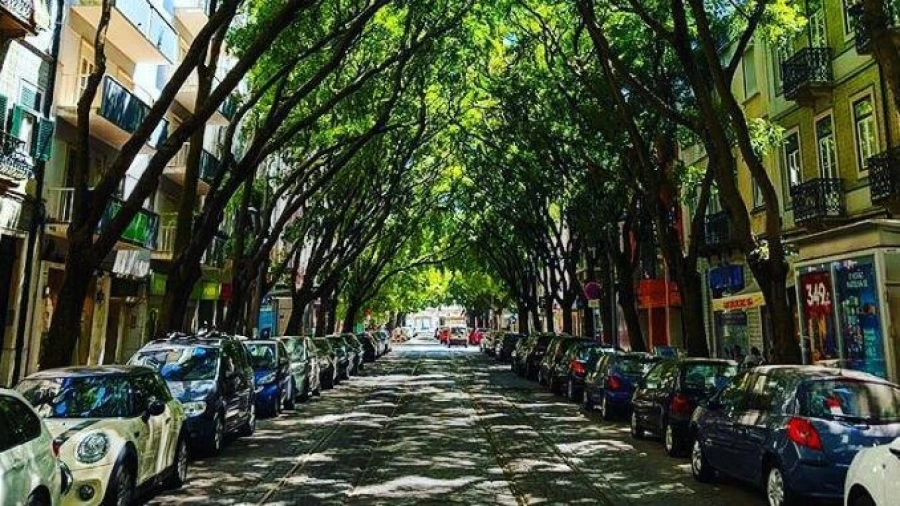 Loja para Venda em Campo de Ourique Foto 4