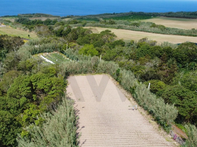 Moradia T2 para Venda em Candelaria Foto 11