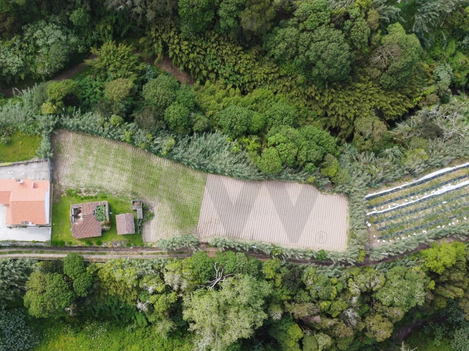 Moradia T2 para Venda em Candelaria Foto 12