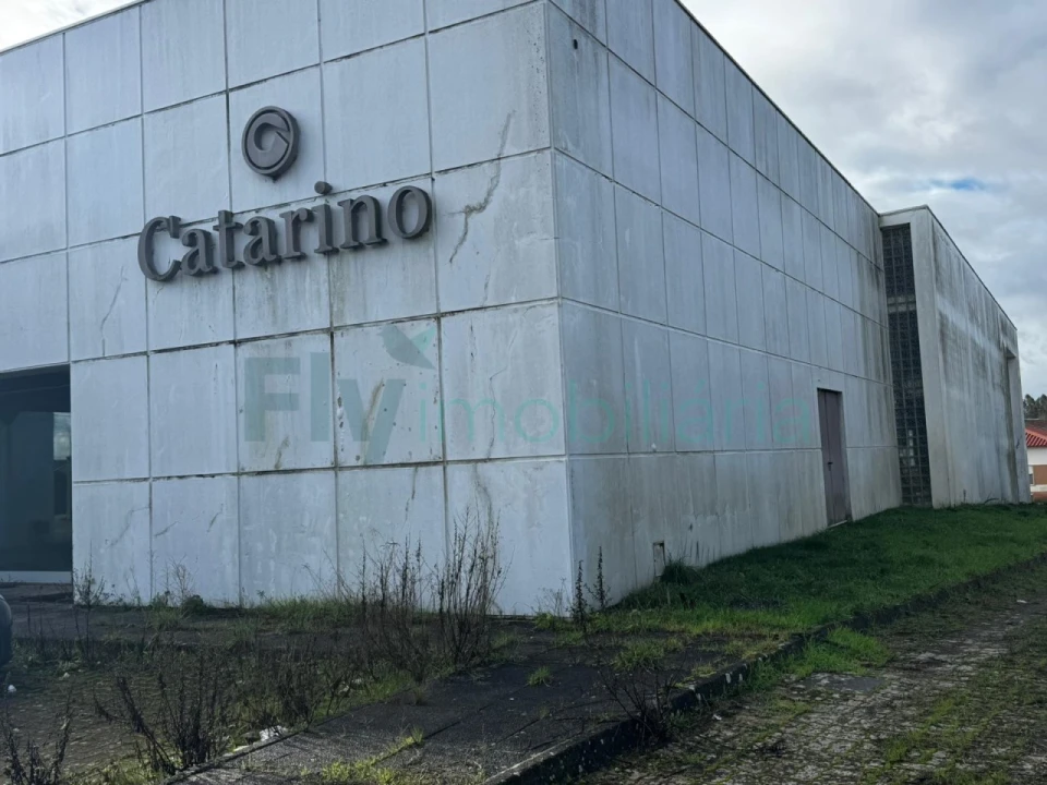 Armazém para Venda em Febres Foto 19