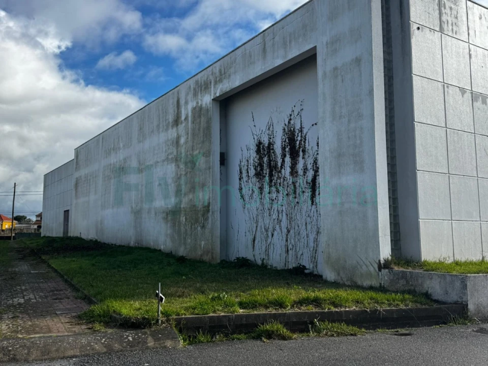 Armazém para Venda em Febres Foto 24