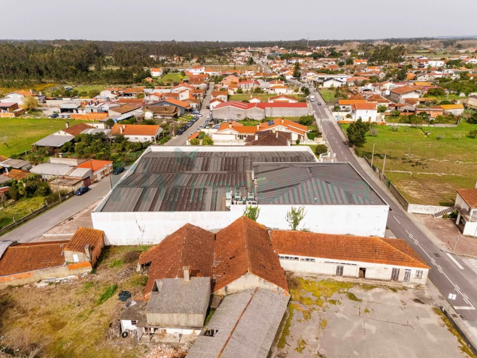 Armazém para Venda em Febres Foto 37