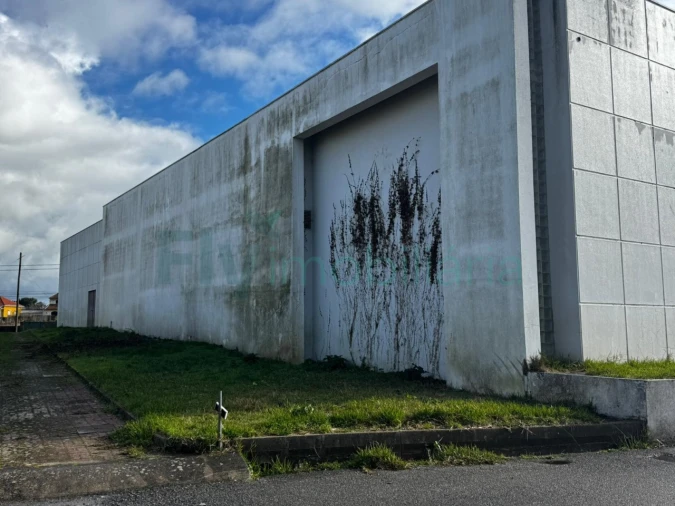 Armazém para Venda em Febres Foto 24
