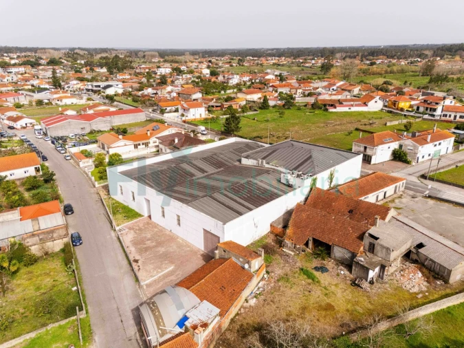 Armazém para Venda em Febres Foto 38