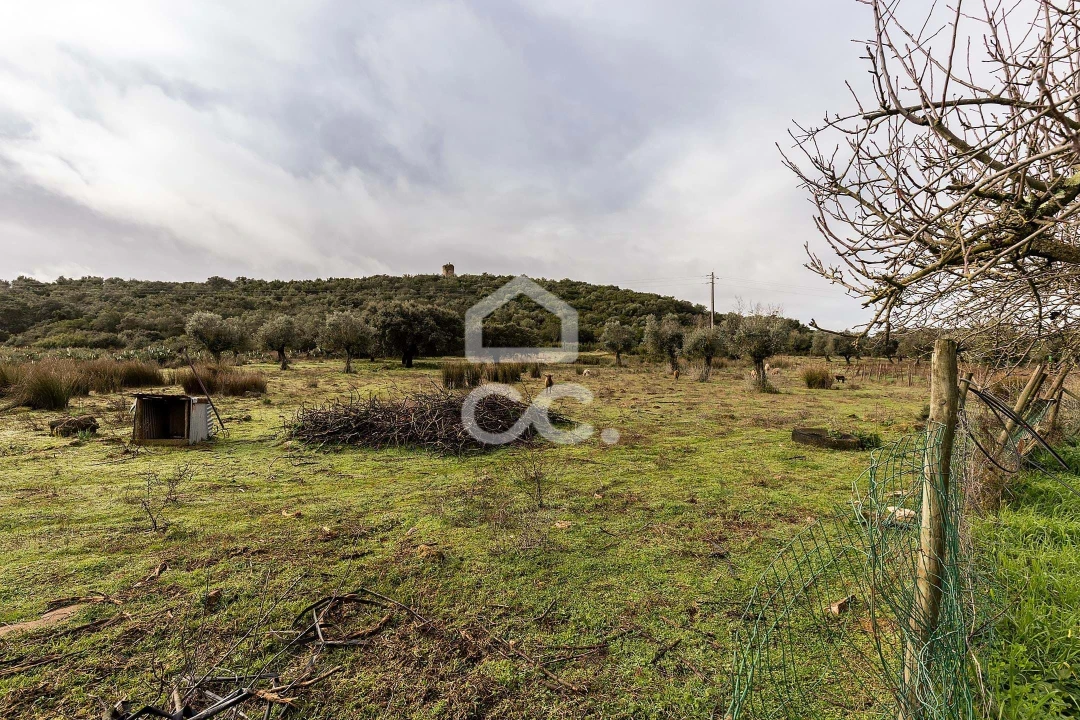 Quinta T4 para Venda em Estremoz (Santa Maria e Santo André) Foto 48